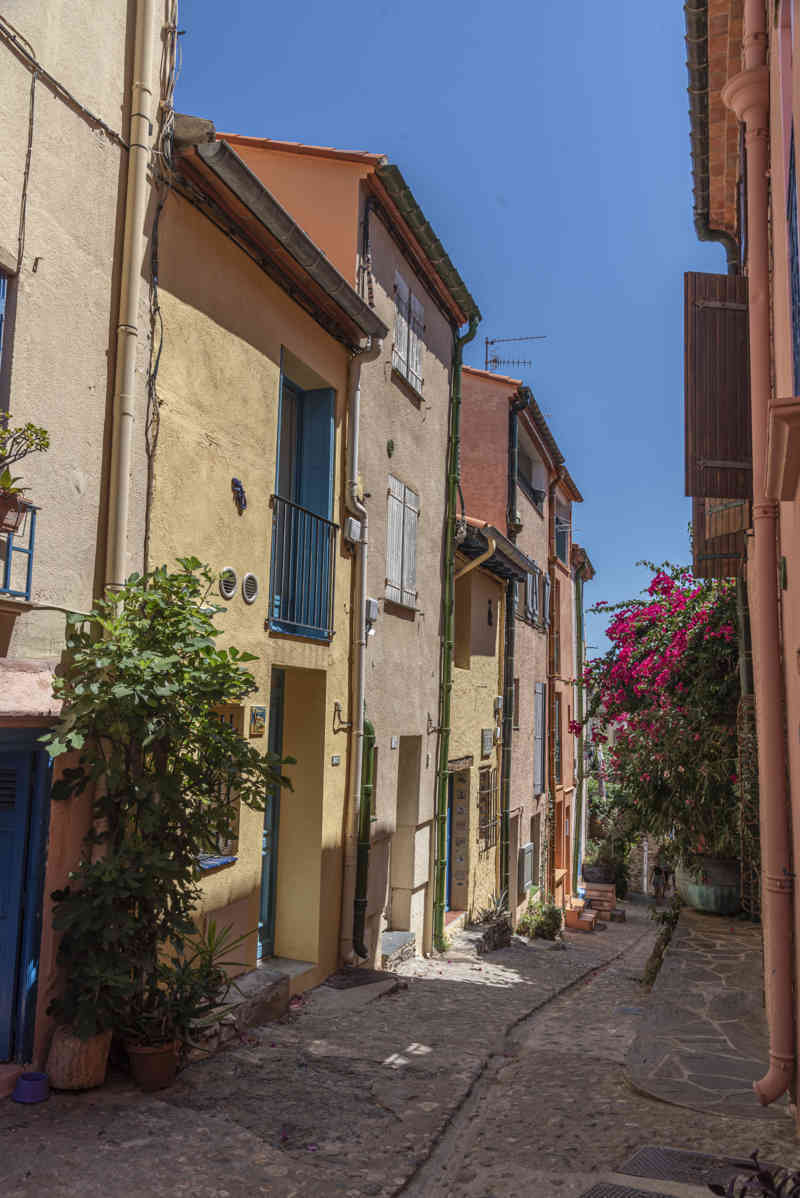 Francia - Collioure 054.jpg
